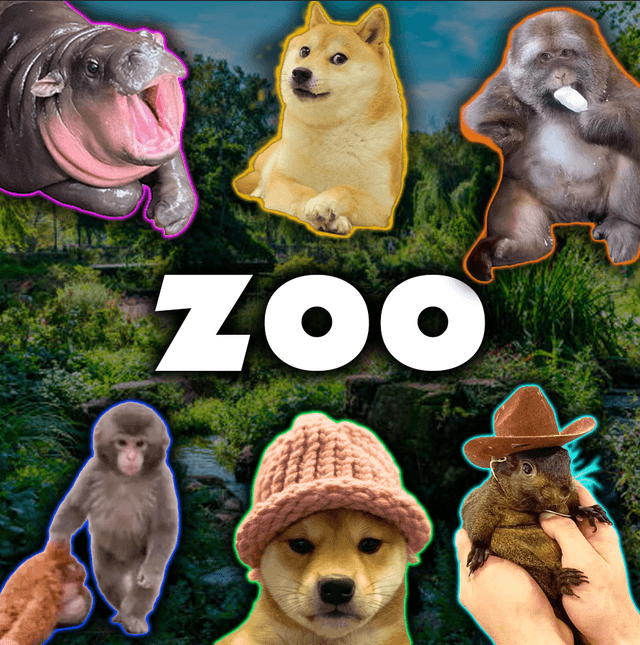 $ZOO coin